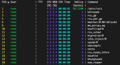 adding a new field to the procs display adding a new field to the procs display